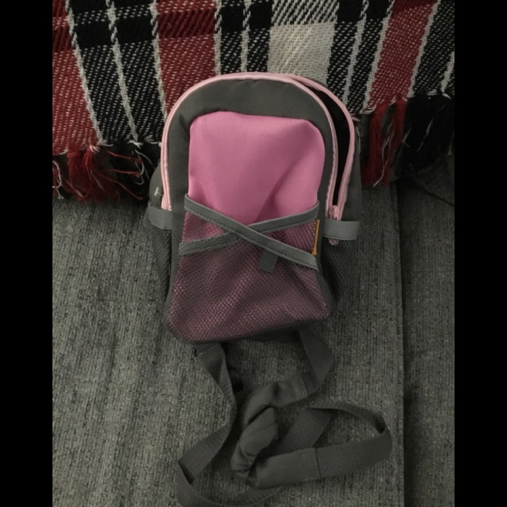 Small backpack or waist pack NWOT